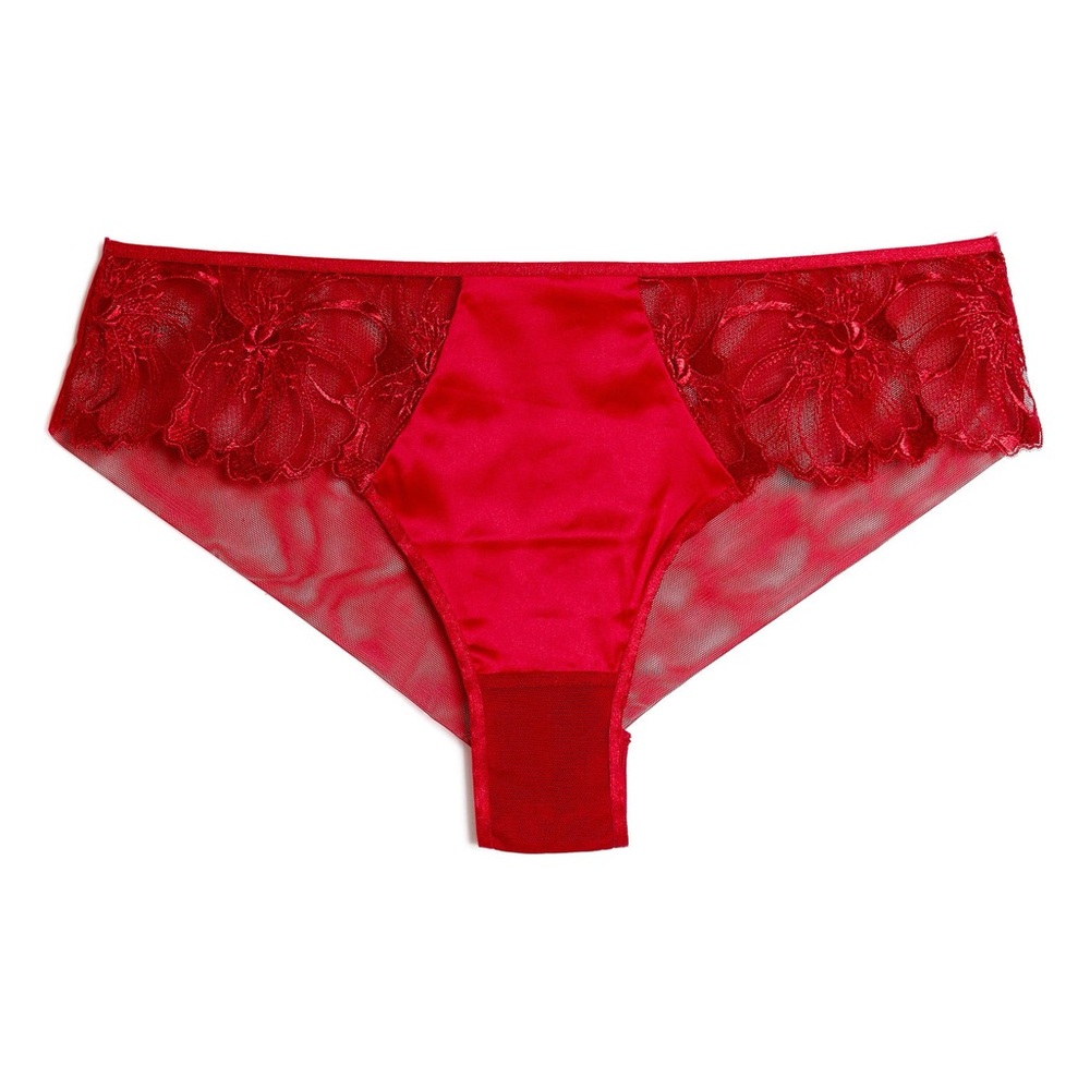 Etam Amaryllis Lace & Satin Hipster Panties